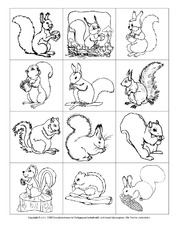 Eichhörnchen-Memo-Aufdeckspiel-1-sw.pdf